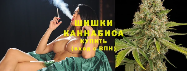 стаф Каменка