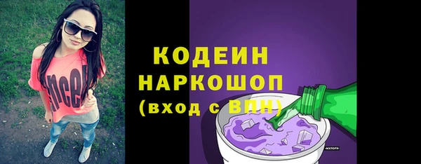 стаф Каменка