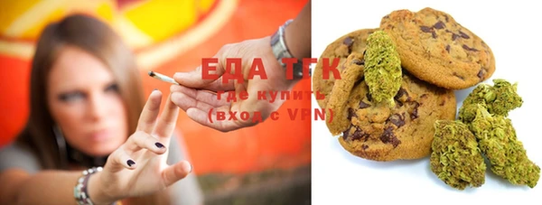 стаф Каменка