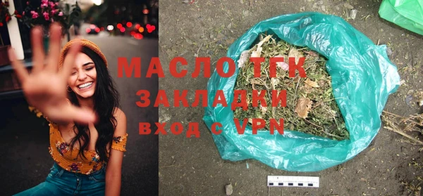 стаф Каменка