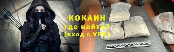стаф Каменка