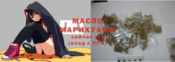 стаф Каменка