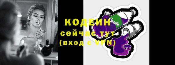 стаф Каменка