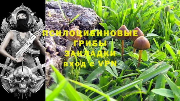 скорость Инсар