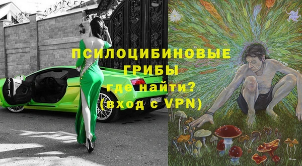 стаф Каменка