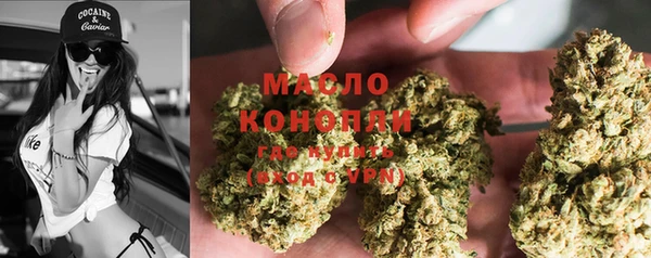 стаф Каменка