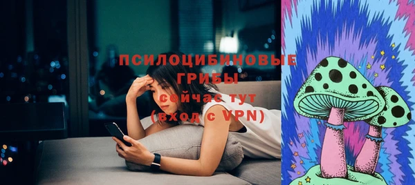 винт Каменногорск