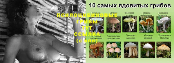 винт Каменногорск