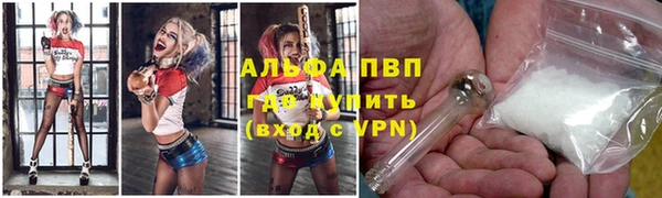 стаф Каменка