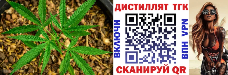 Купить Правдинск Дистиллят ТГК гашишное масло